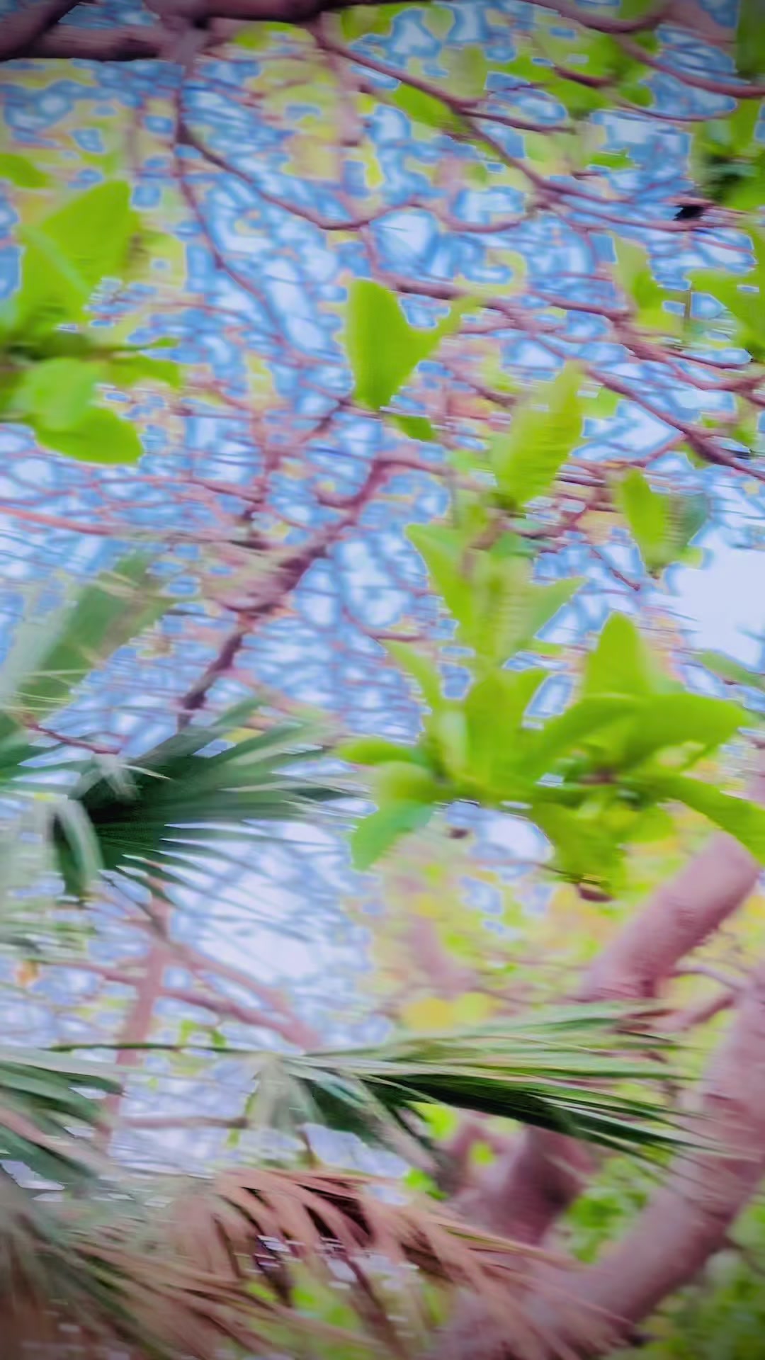 @🇬🇶 𝐀𝐊 𝐒𝐀𝐇𝐀𝐁 907🇬🇶