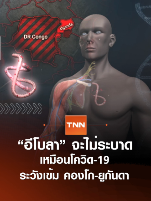 @TNN Online
