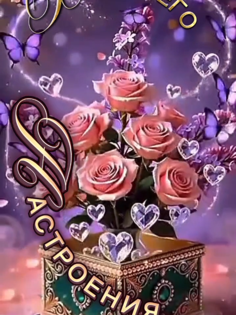 @꧁࿇♥𝓢𝓿𝓮𝓽𝓵𝓪𝓷𝓪꧁♥࿇꧂