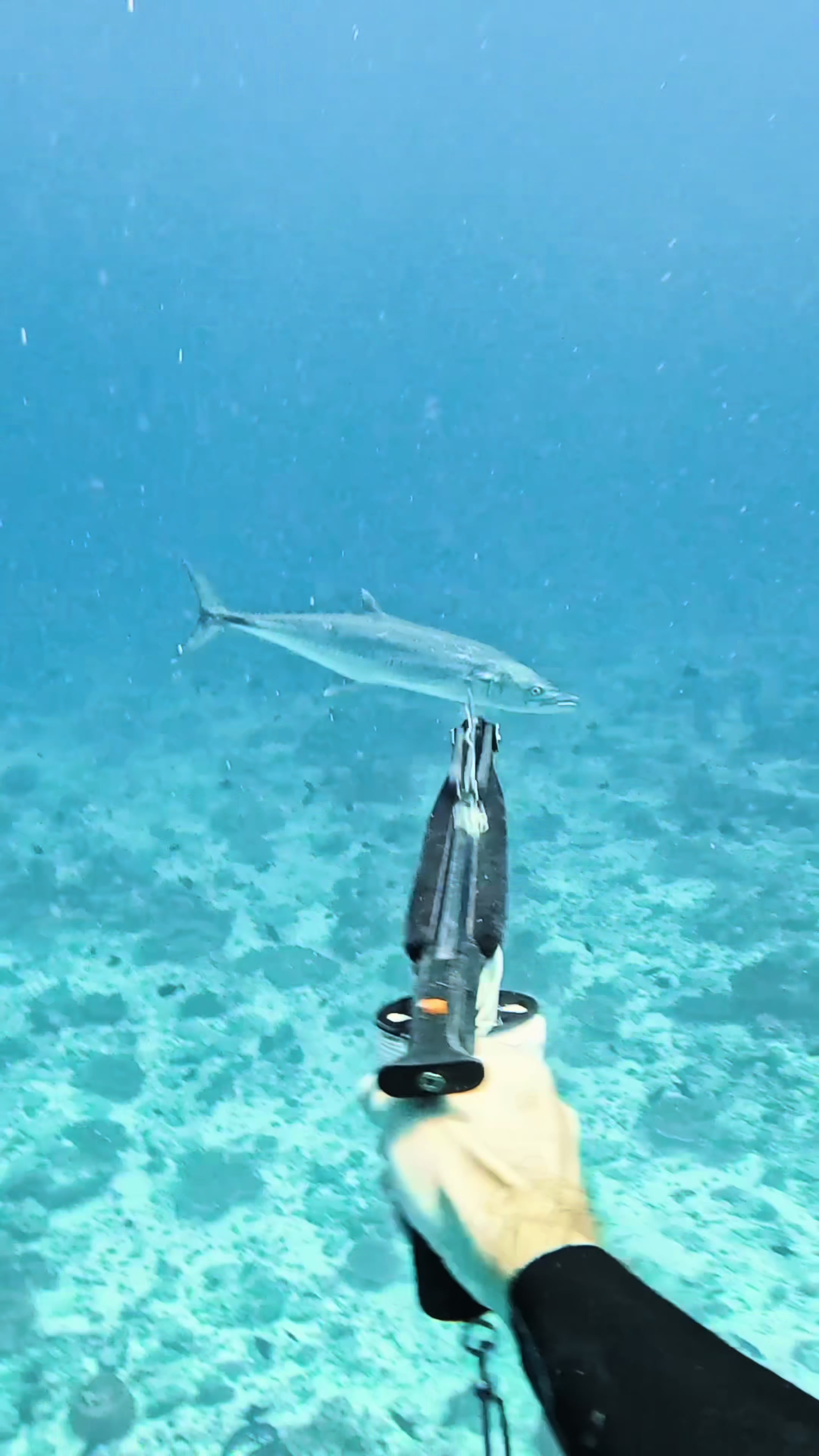 @Wade Papenfus | Offshore Tales