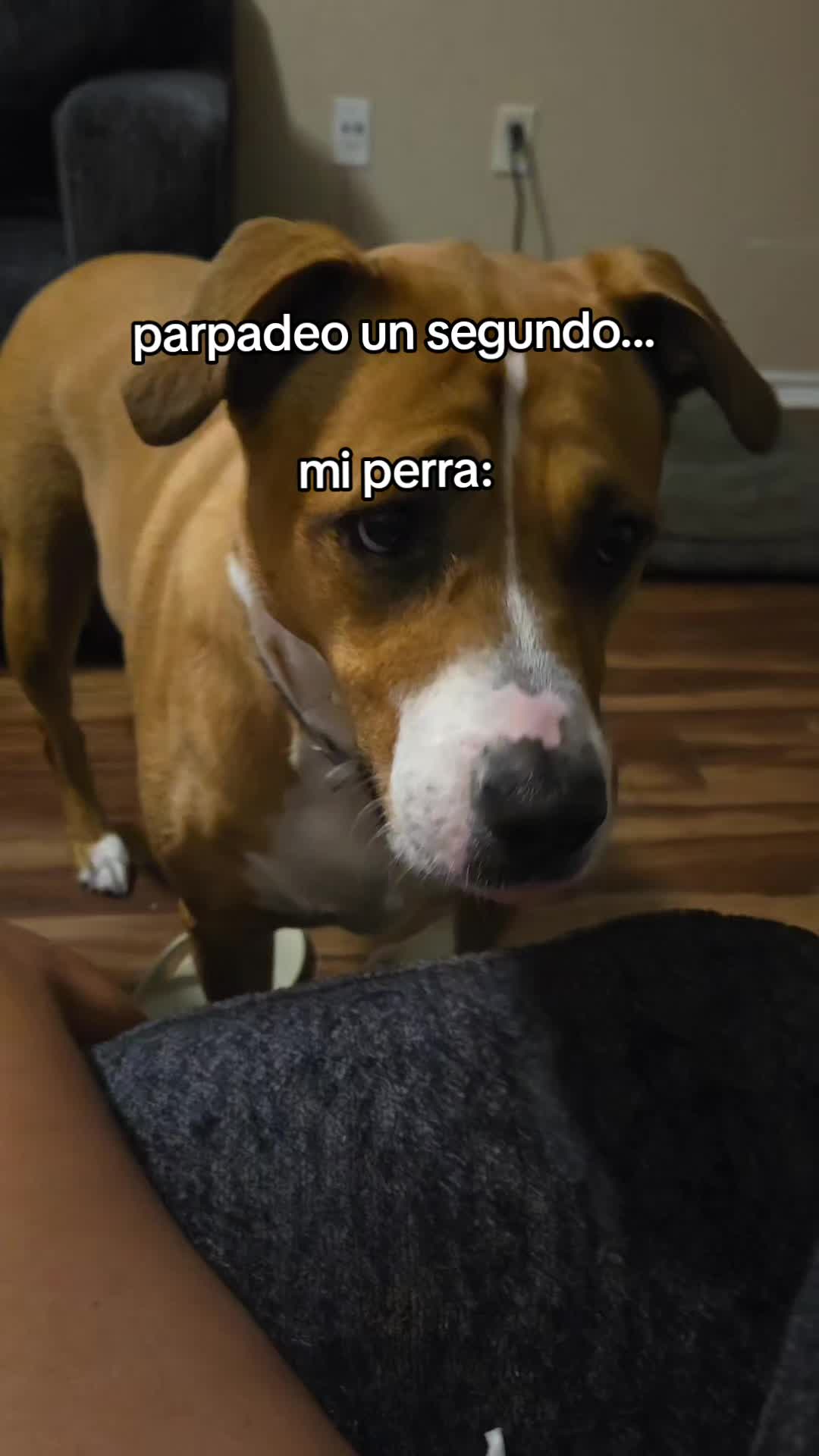 @mich ayala