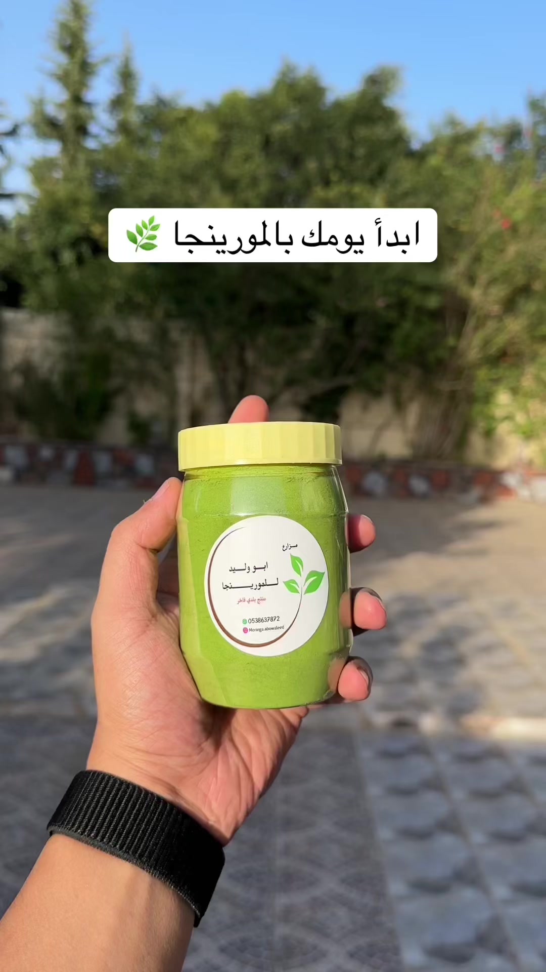 @مزارع ابو وليد للمورينجا 🌿