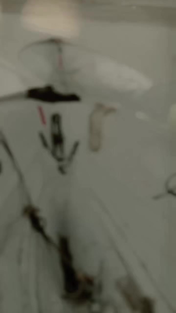 @𝐐𝐚𝐝𝐞𝐞𝐫 𝐬𝐡𝐚𝐛𝐢𝐫