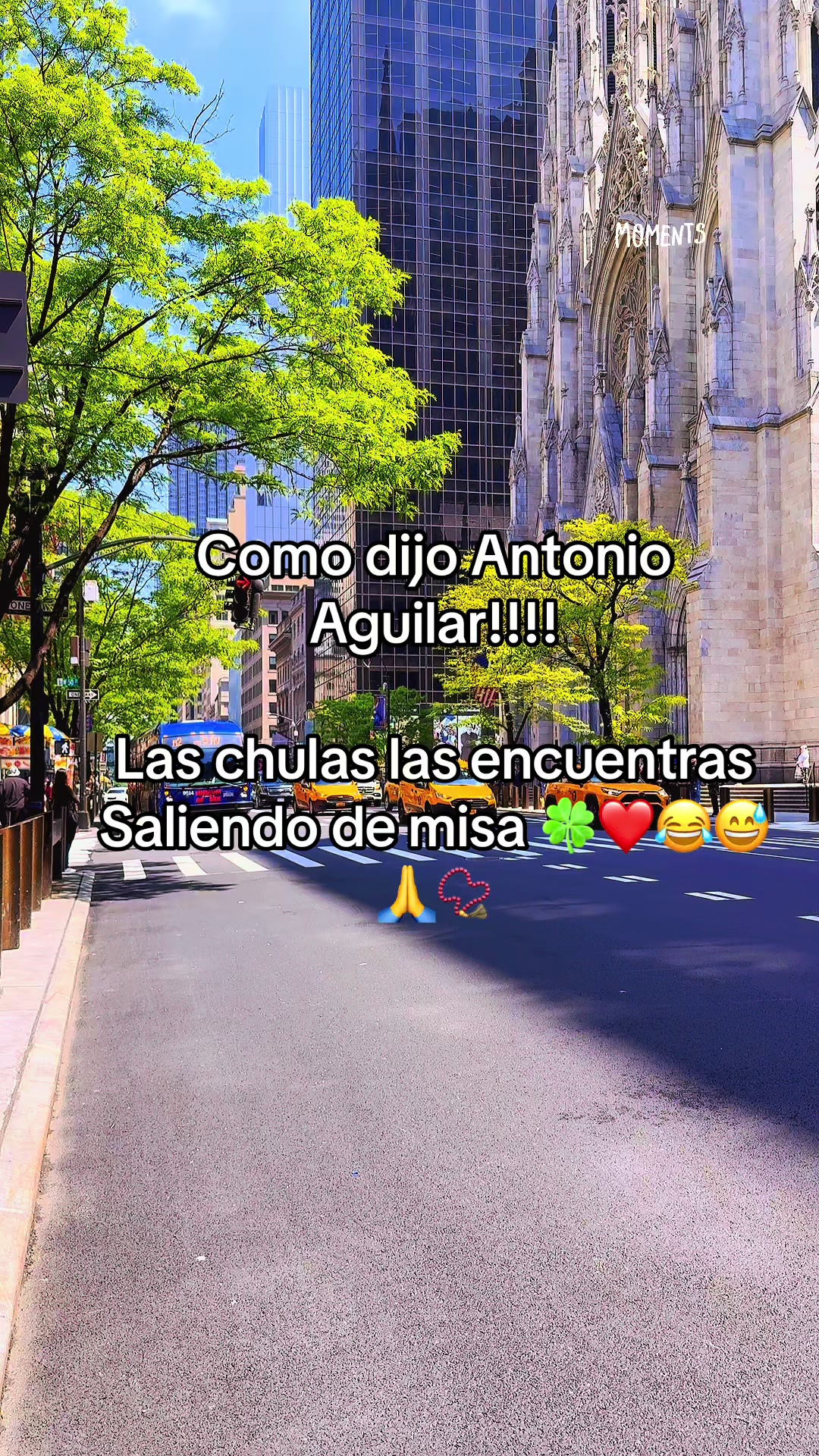 @🇲🇽Un poblano en ny 🇺🇸🗽☘️