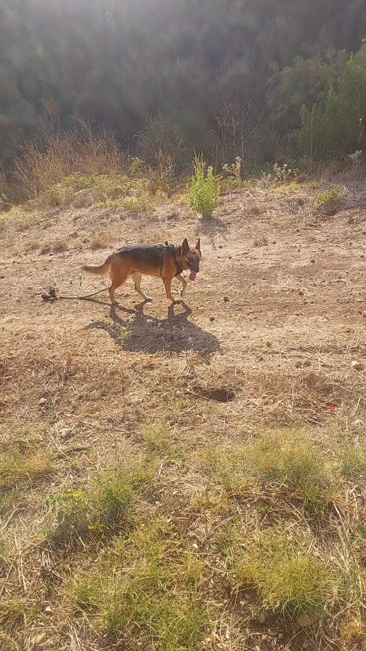 @Adi nadir Yona