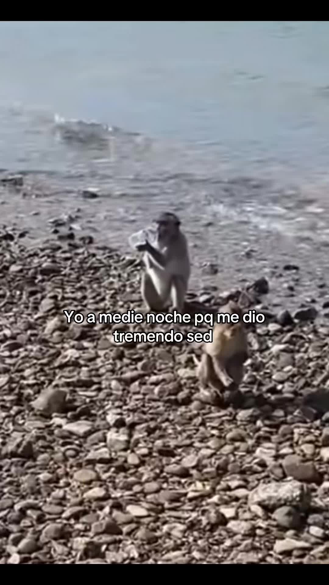 @jaremonox