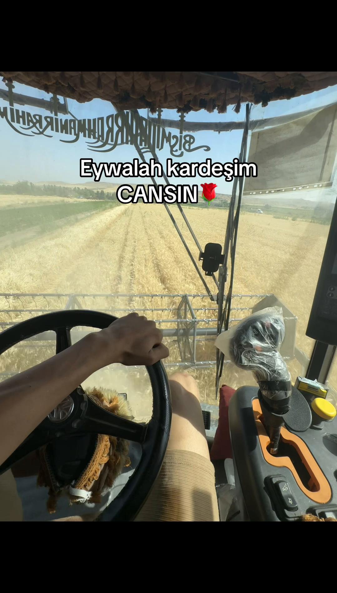 @musa_47