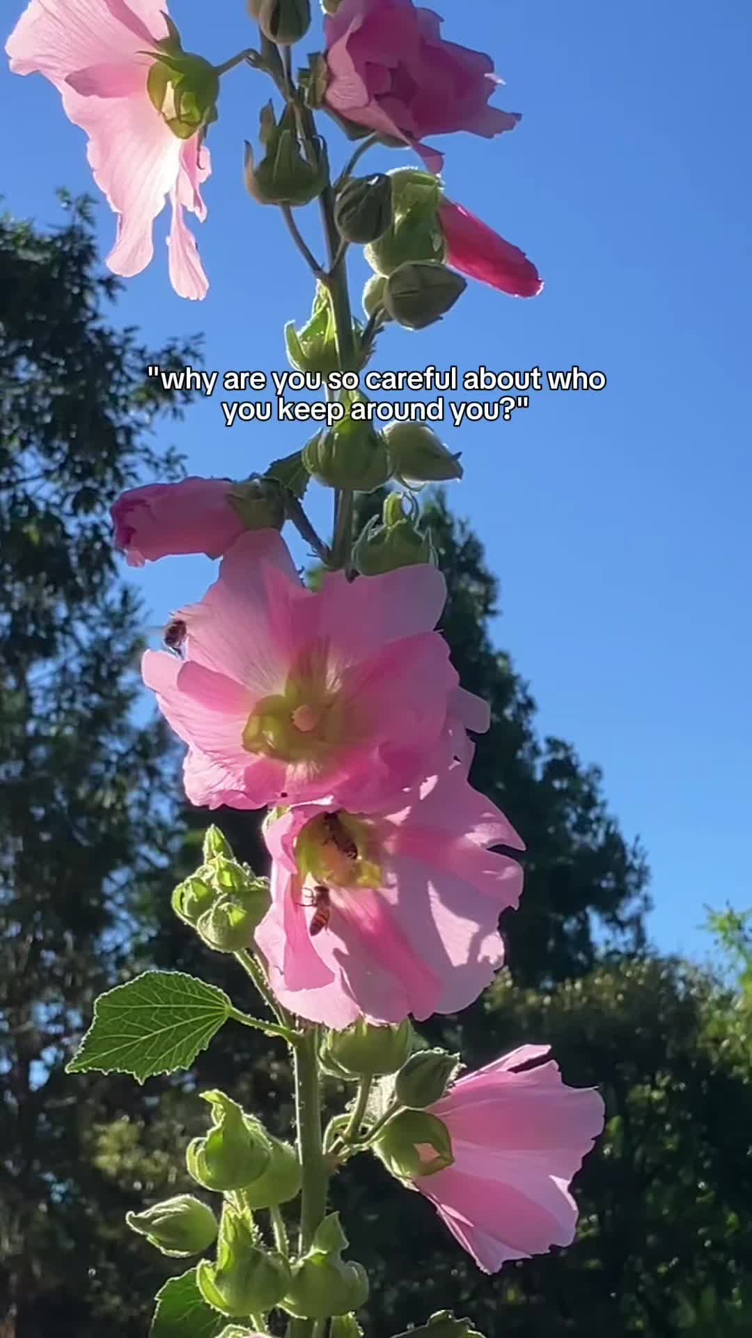 @ᴄʜᴀꜱɪɴɢ🥾ꜱɪᴇʀʀᴀ🥾ᴡᴀᴛᴇʀꜰᴀʟʟꜱ🏞️