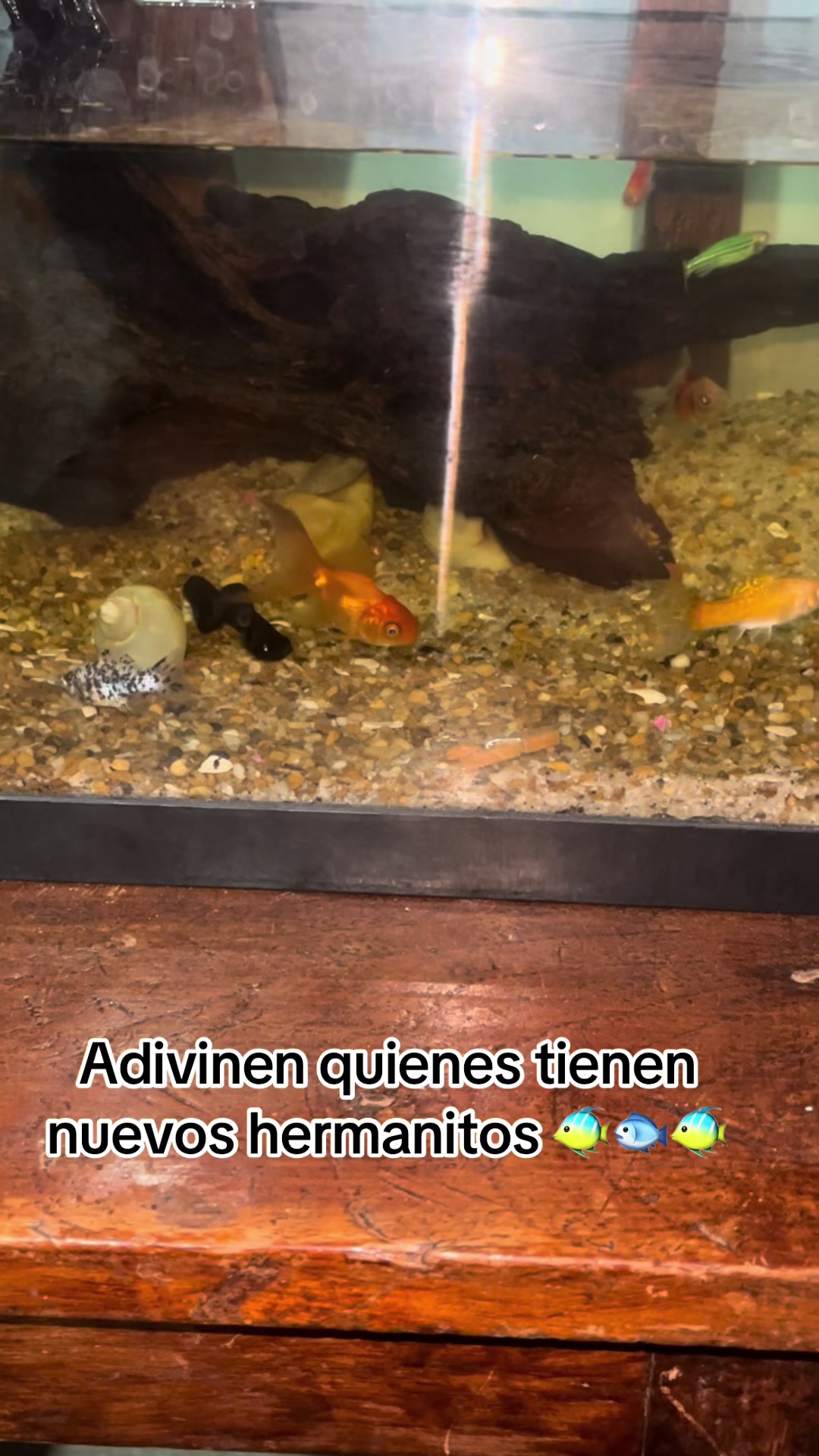 @Auri Ruiz