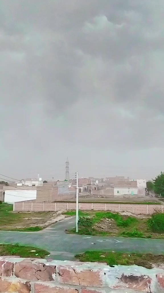 @qasirnaar786