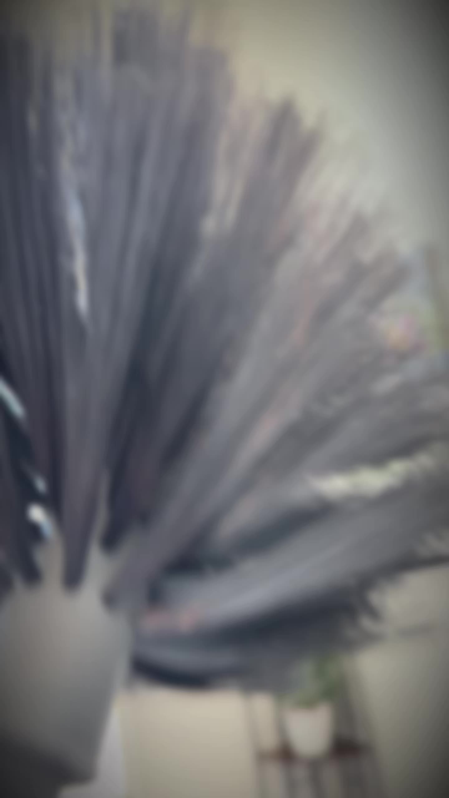 @𝐼𝓈𝒽𝒾𝓂✨| content creator