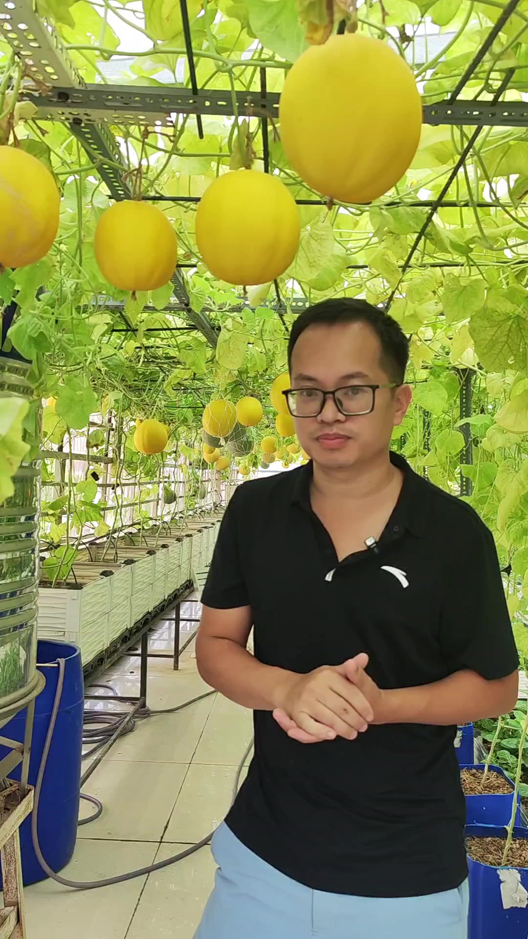 @Dược sĩ cỏ
