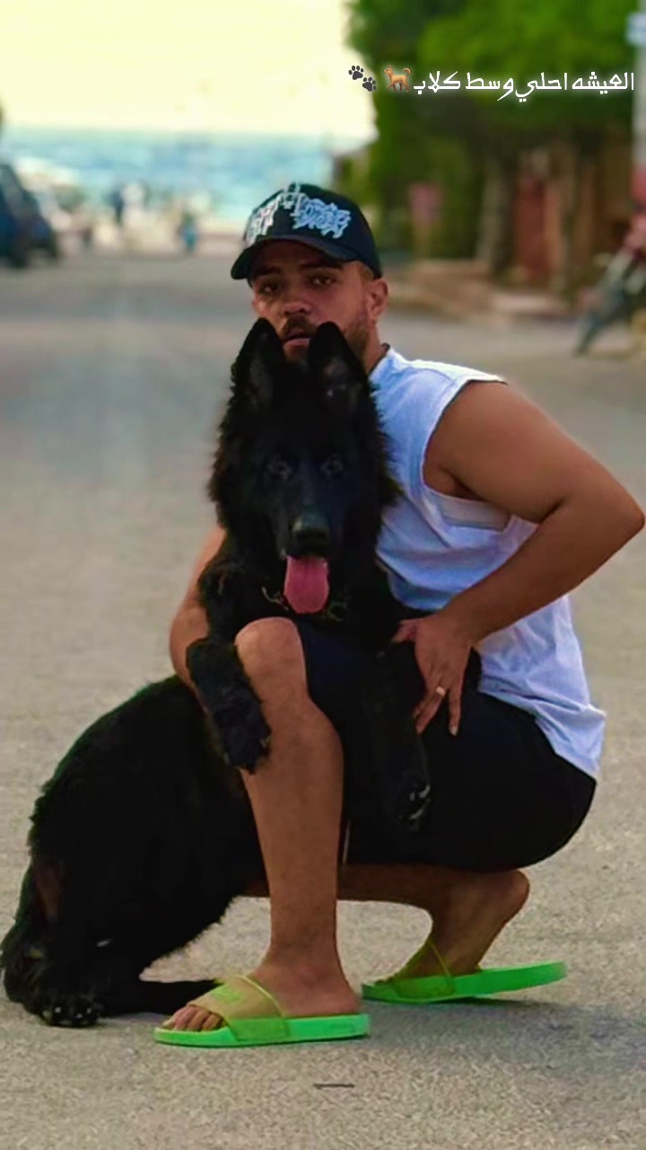 @Alaa كراكيب