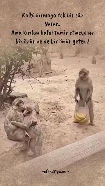 @Efendi1Yazar