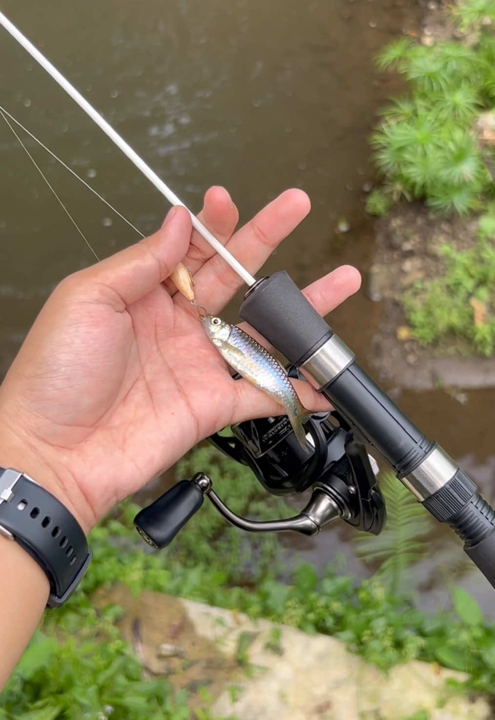 @Andalan Mancing