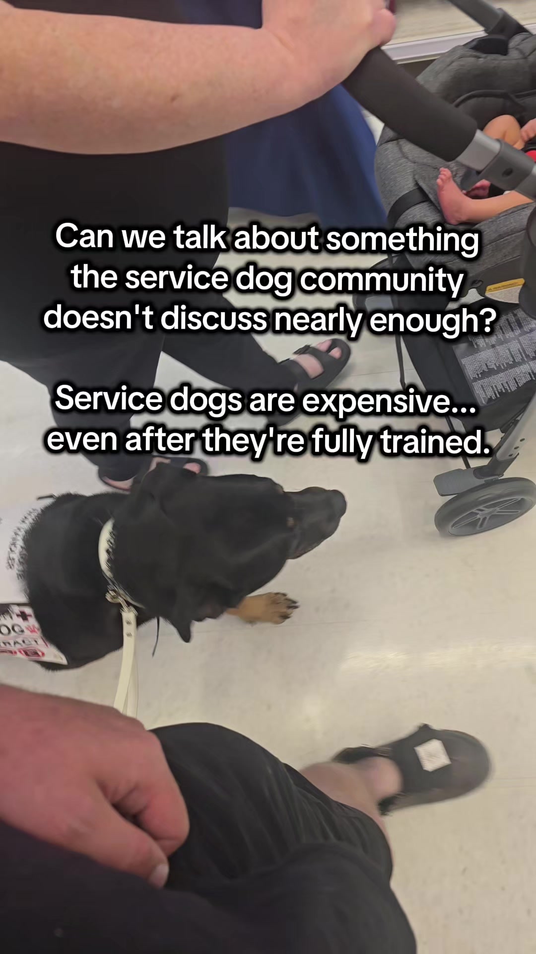 @Kairo's K9s Training 🇨🇦