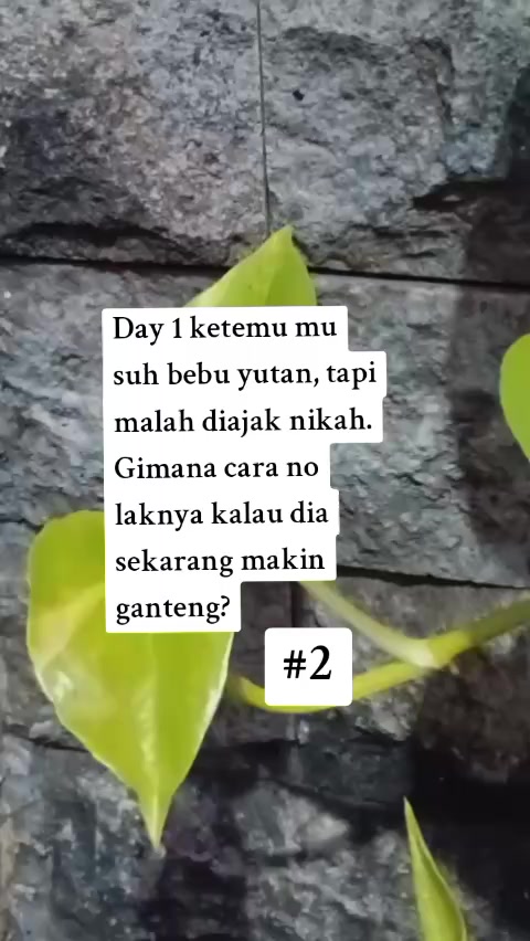 @senyumkata