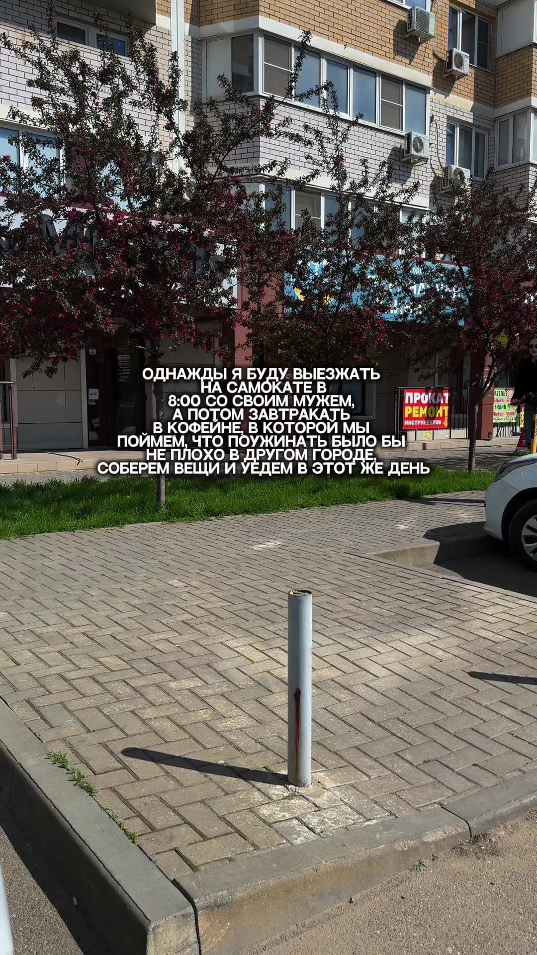 @Краснодарская Василиска💗