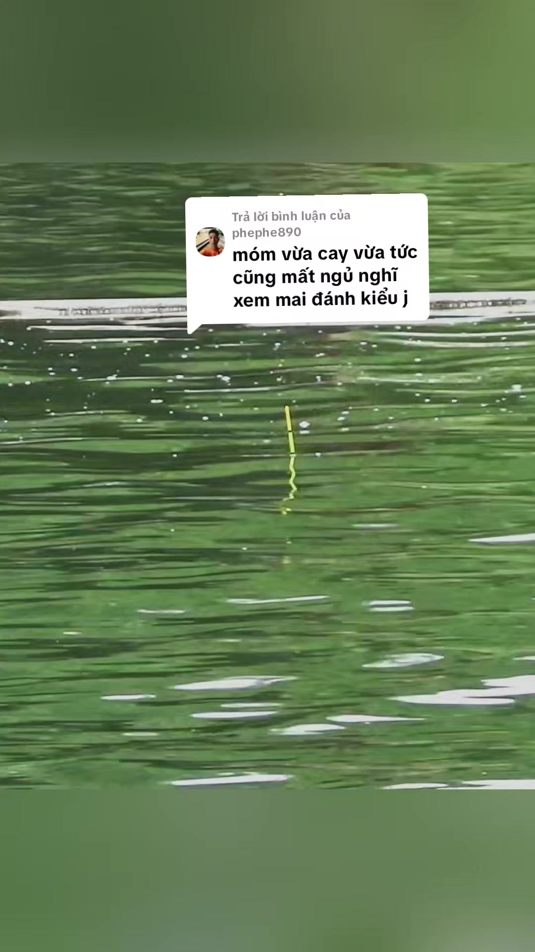 @Dũng Nguyễn Fishing