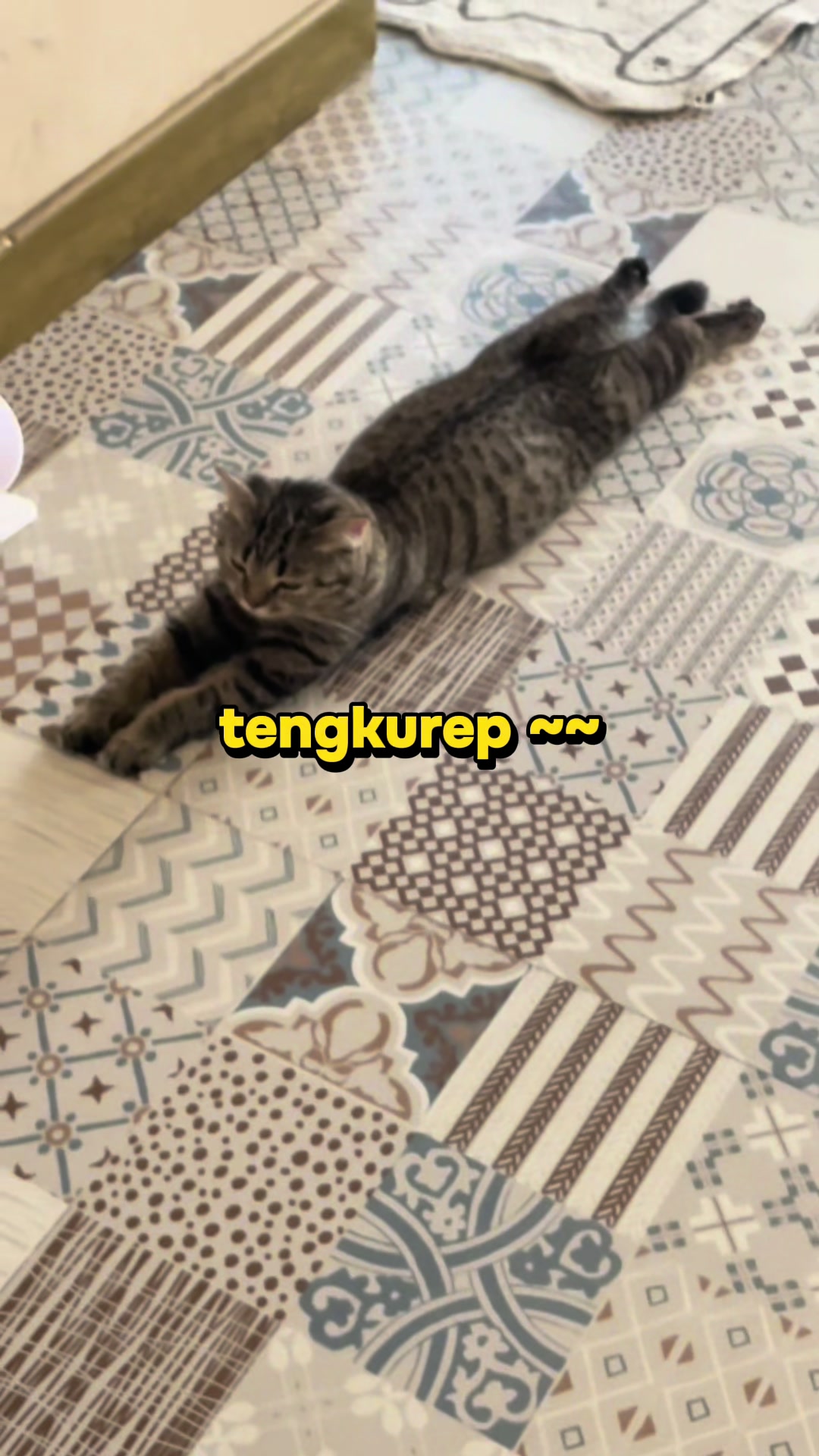 @Cafe Kucing Gemuyu