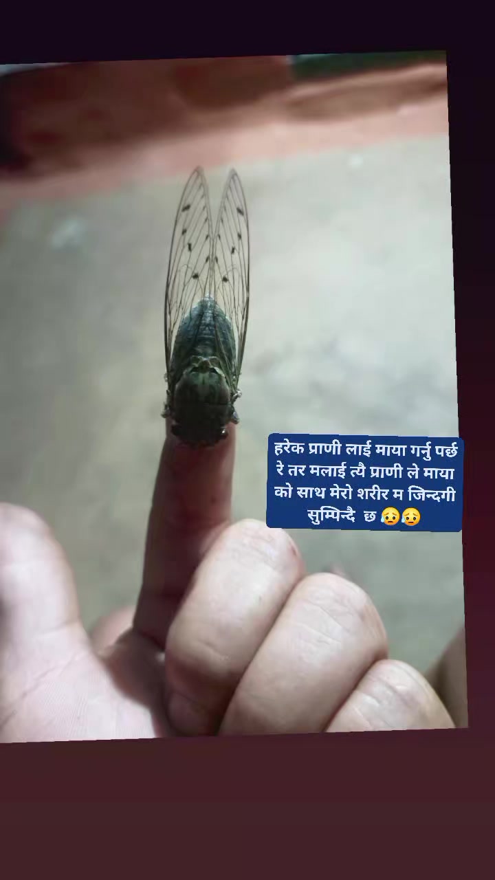 @जीवन राई