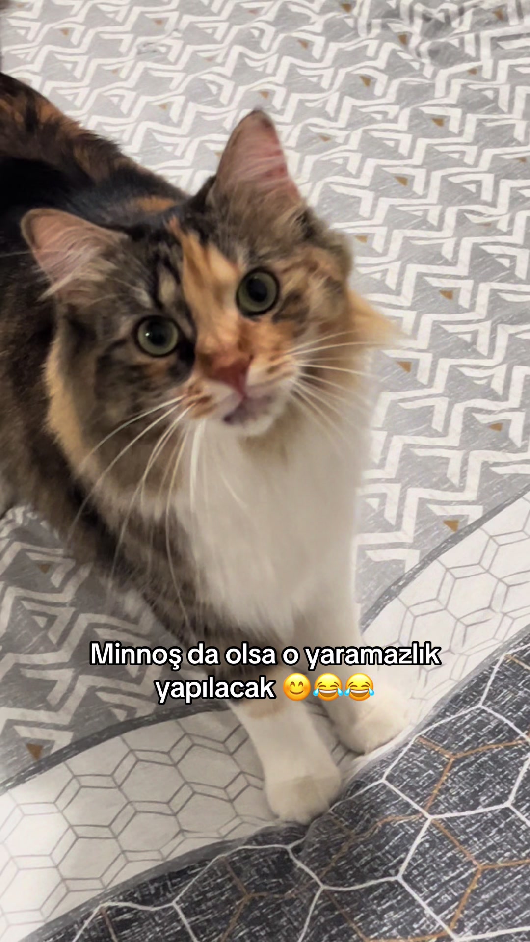 @konusankediminnos