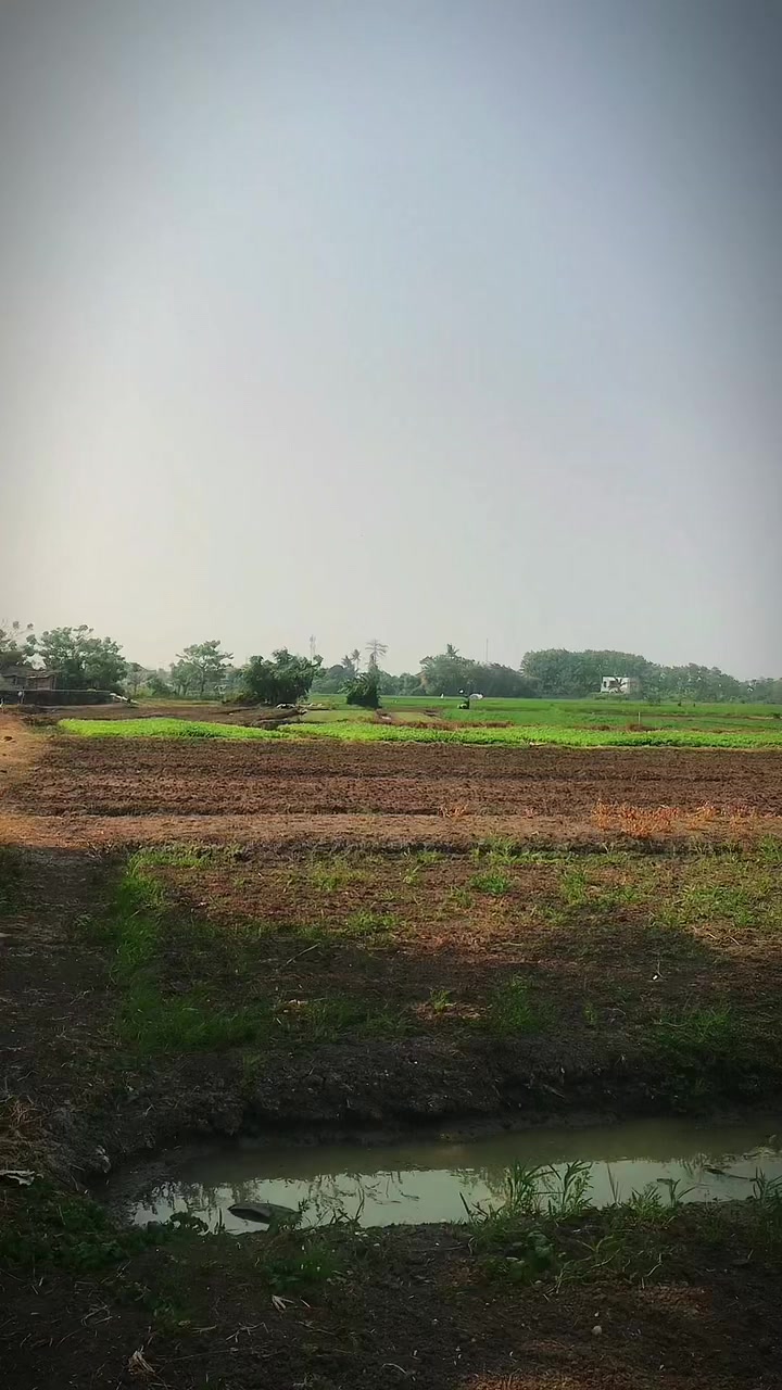 @Sanip haaah...