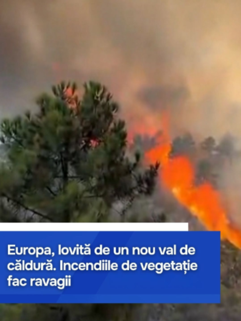 @Moldova1