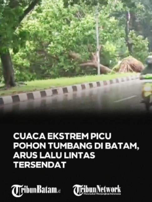@Tribun Batam