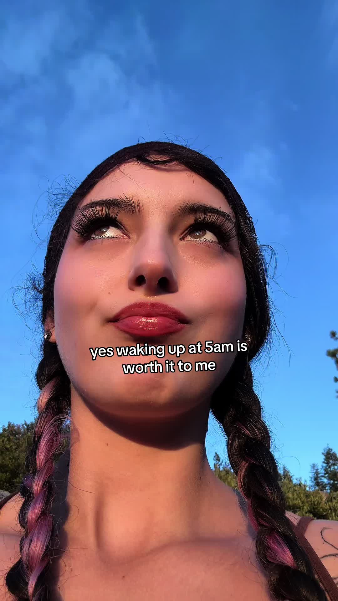 @🌲