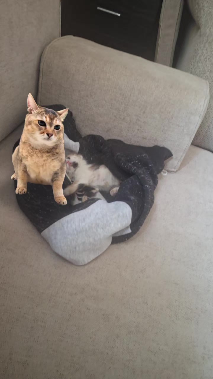 @Samski 냐흠