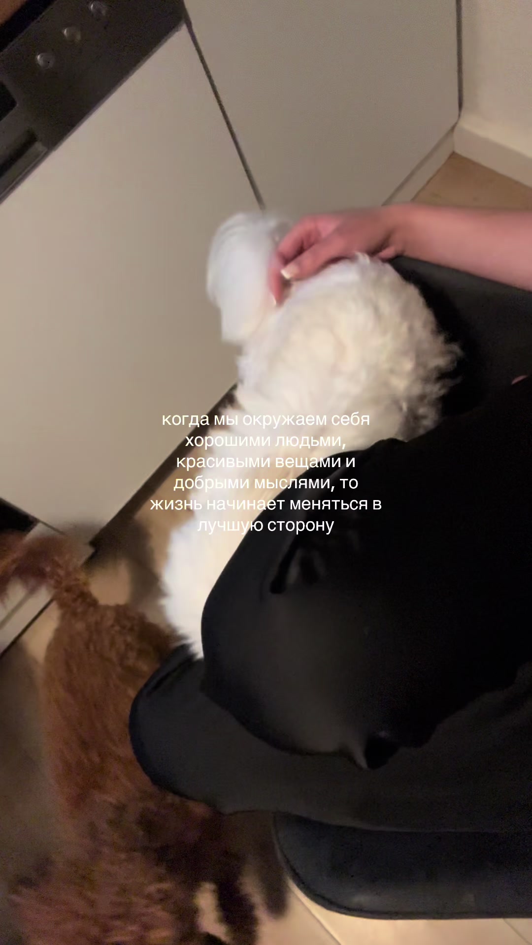 @๐๐ข๐๐ง๐ฑ๐๐ฑ๐ฆ