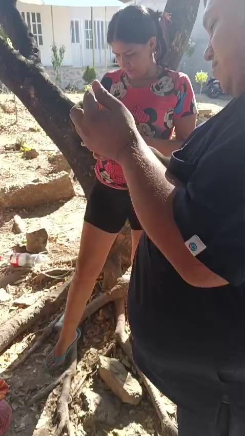@BelitaPets