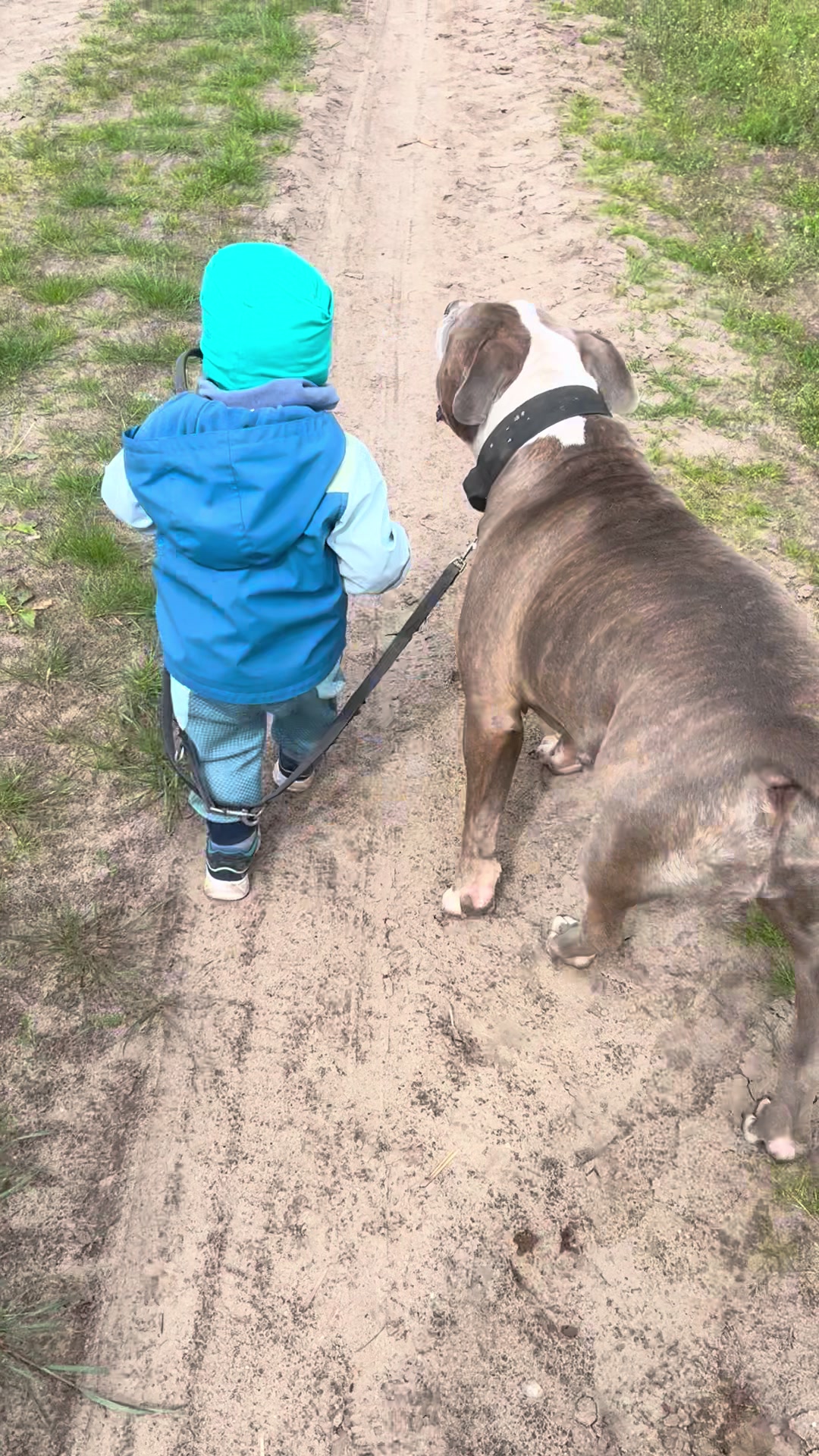 @Balder.Bulls.Kennel