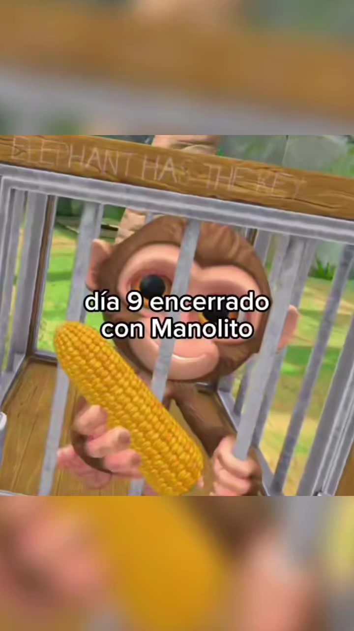 @BolilloVR