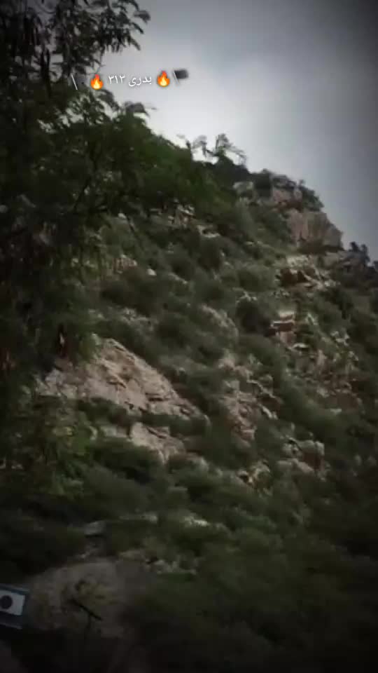 @🏴🔥 بدری ۳۱۳ 🔥🏴