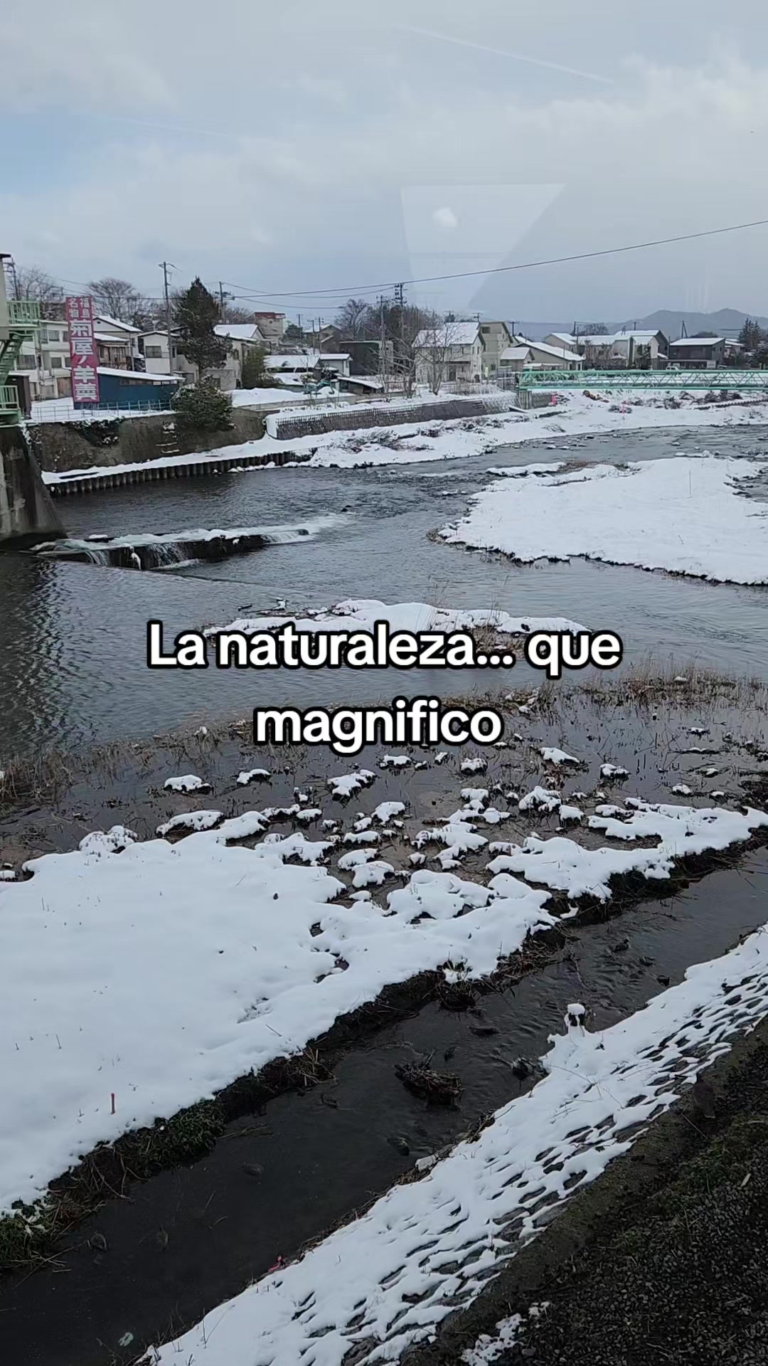 @Daii