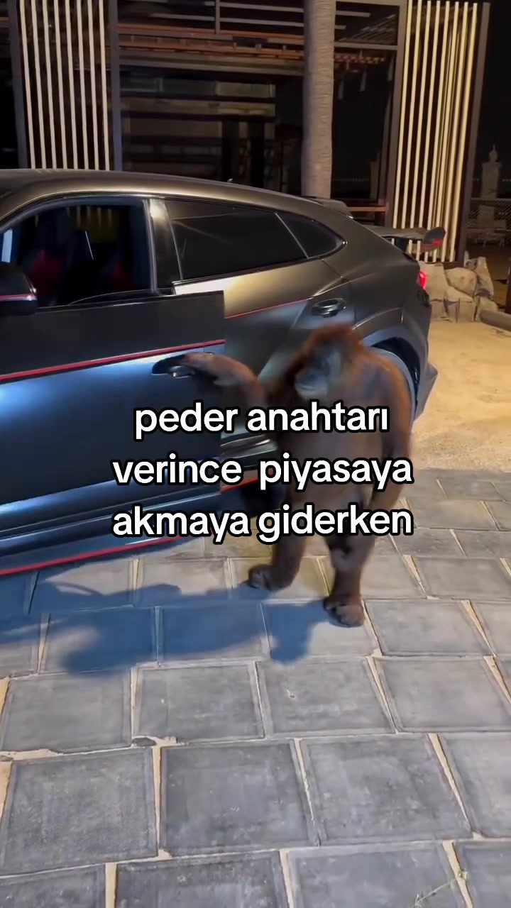 @rolland