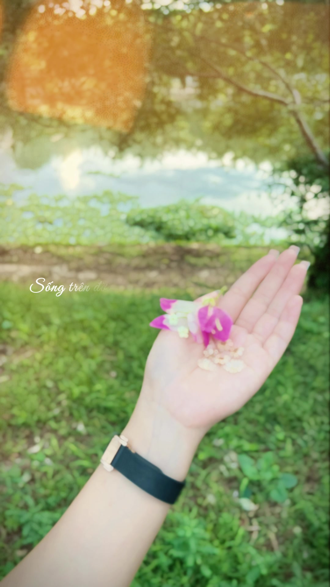 @NguyenHangMun