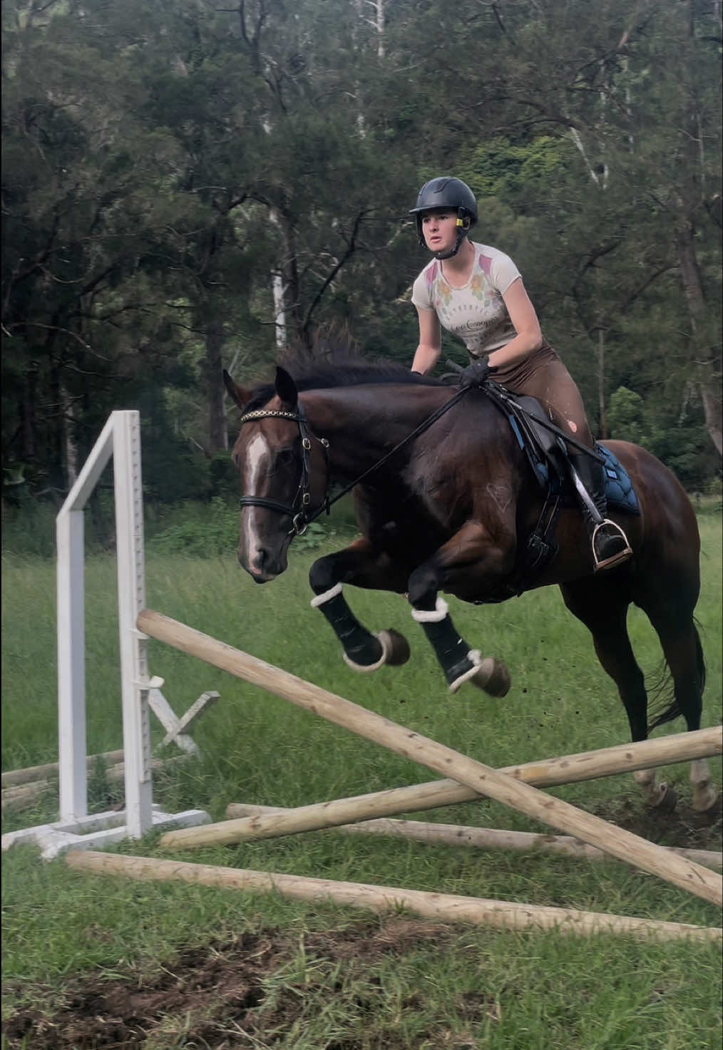 @Double F Performance Horses