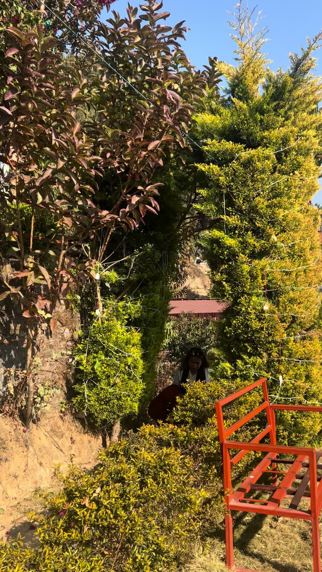 @Youba-Malla -Thakuri-5