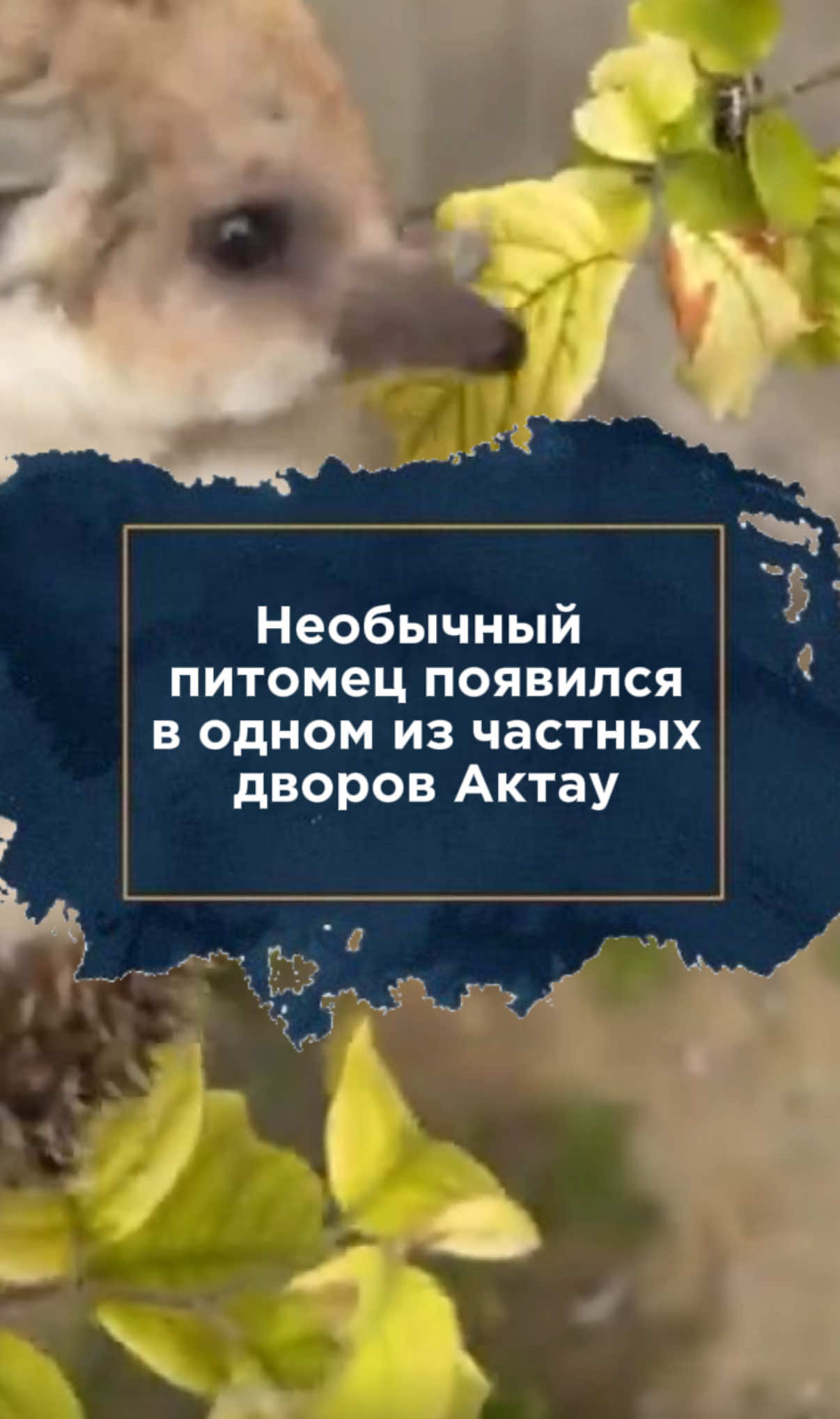 @zakon.kz ➡️ Новости Казахстана