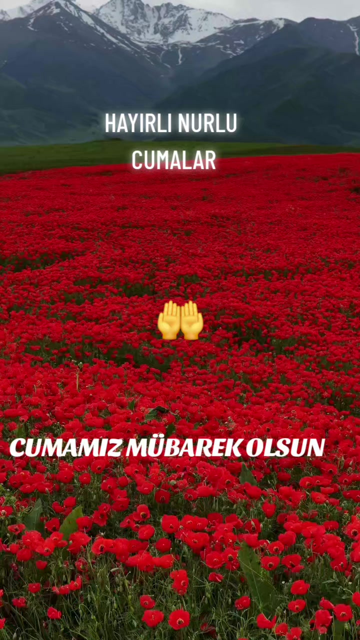 @Hasan Yılmaz