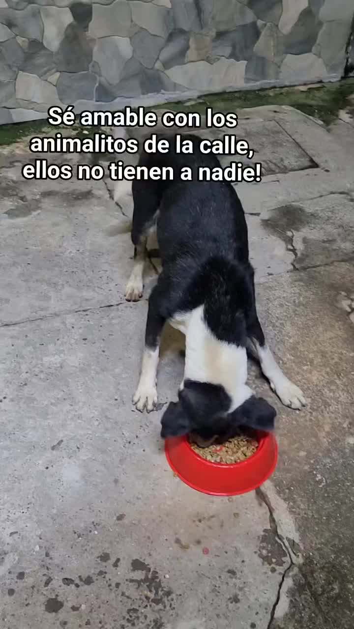 @𝕃𝕚𝕤𝕤 ℝ𝕖yes🇸🇻
