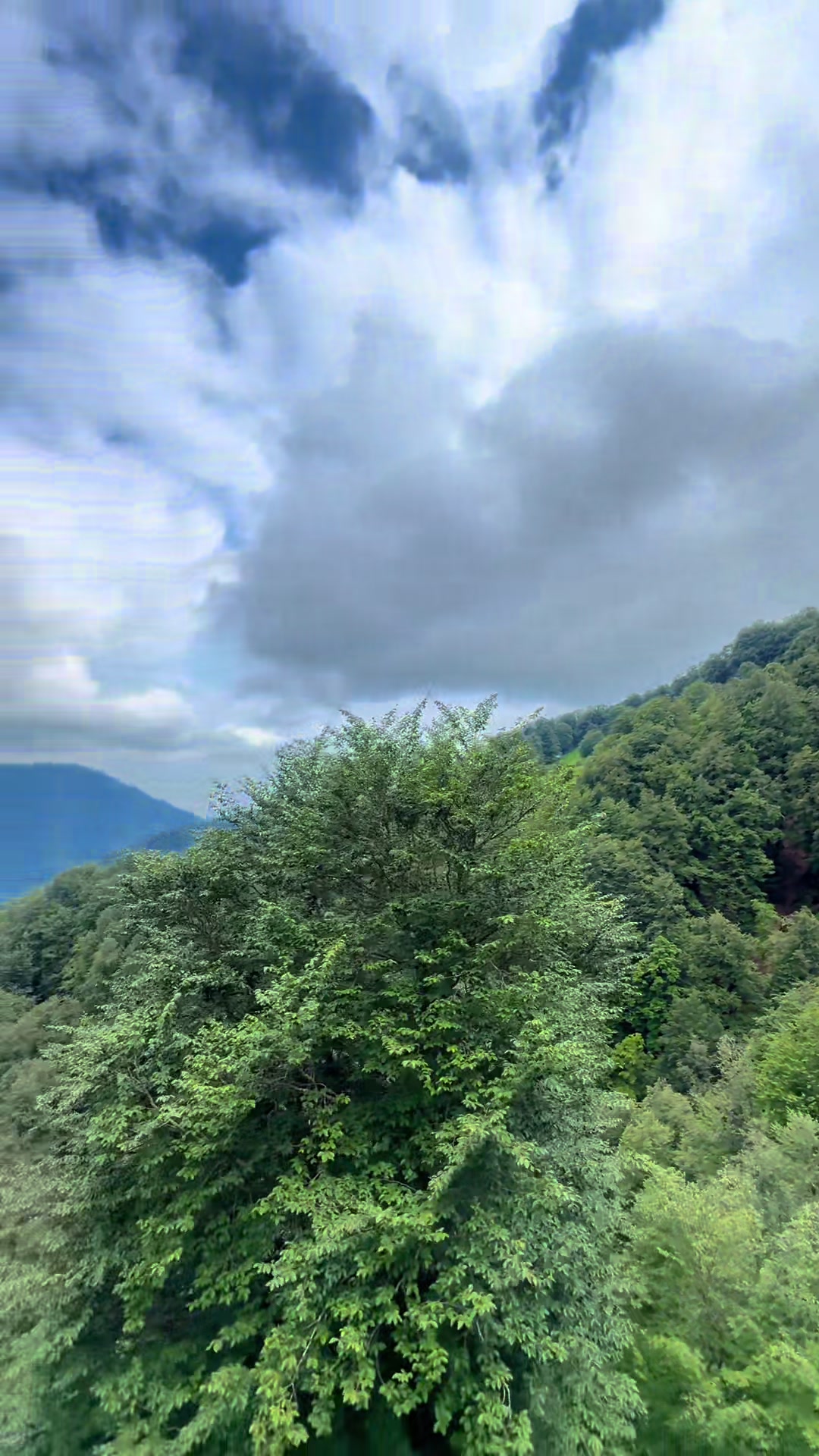 @𝑺.🇦🇿