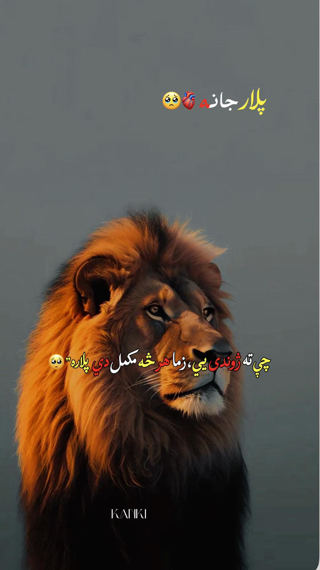 @SALAR KANKI