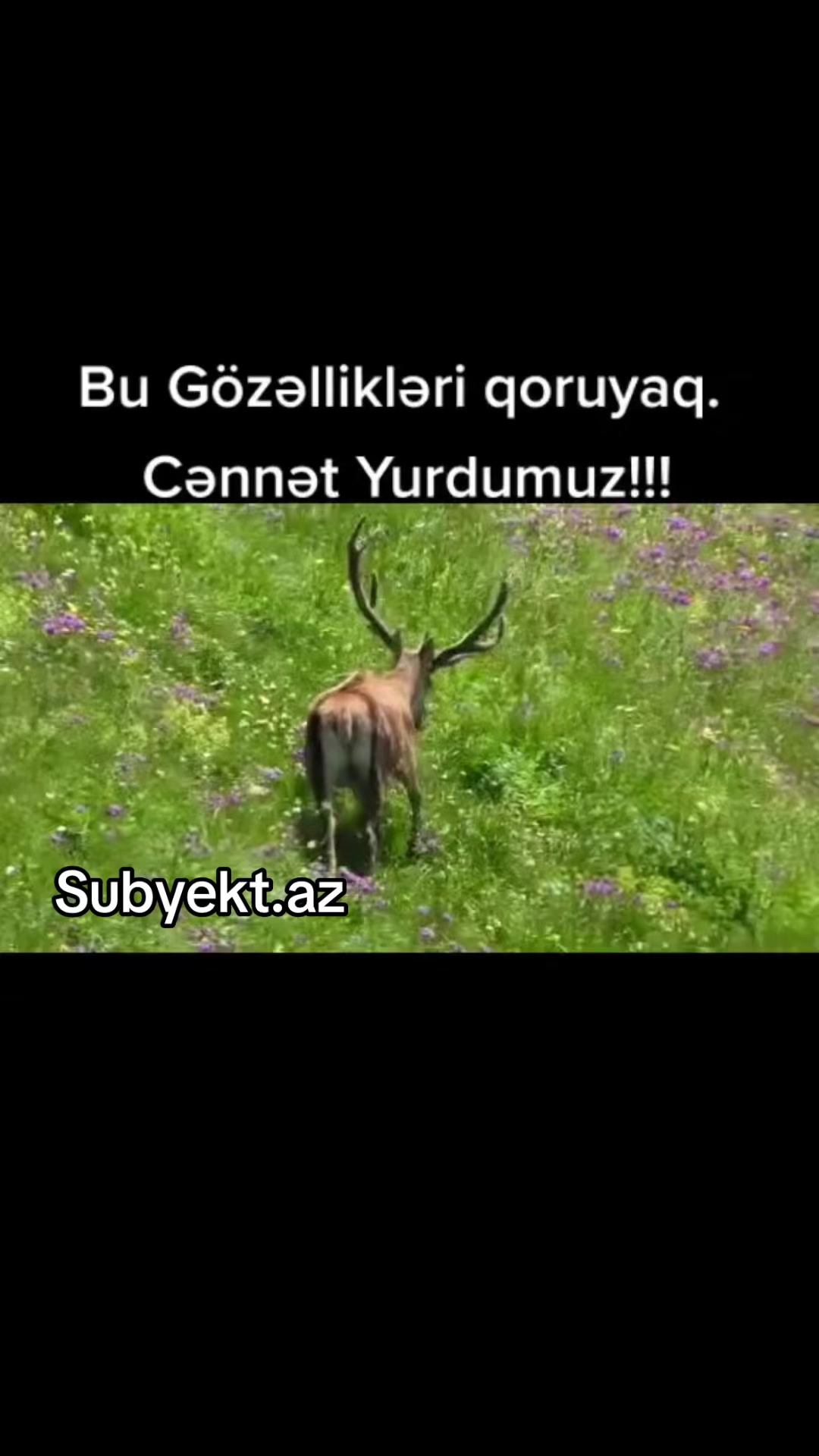 @Rövşən Hüseynov