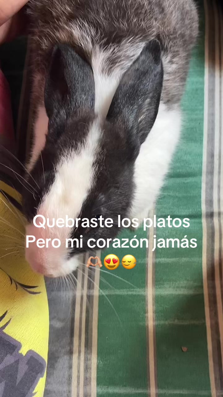 @perla medina