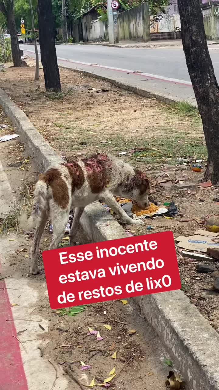 @celiostudart
