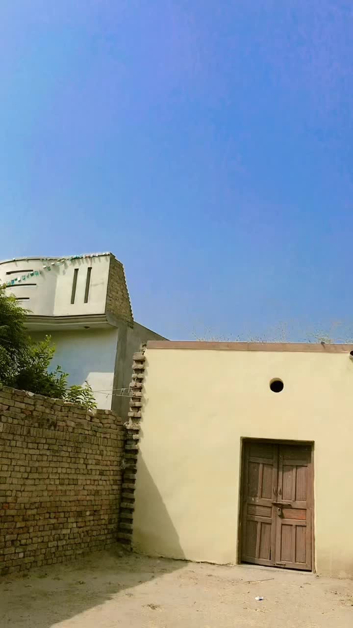 @mozam hasnain